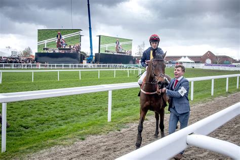 ladbrokes promo code cheltenham|The Cheltenham Festival with Ladbrokes.
